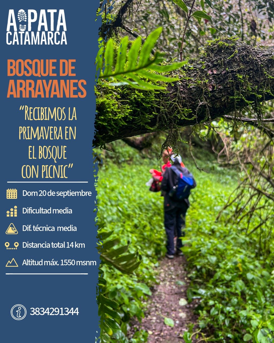 Bosque de Arrayanes - 20SEP
